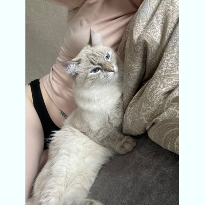 �� �� ������� � ������ ������� 